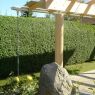 DSC00391.jpg